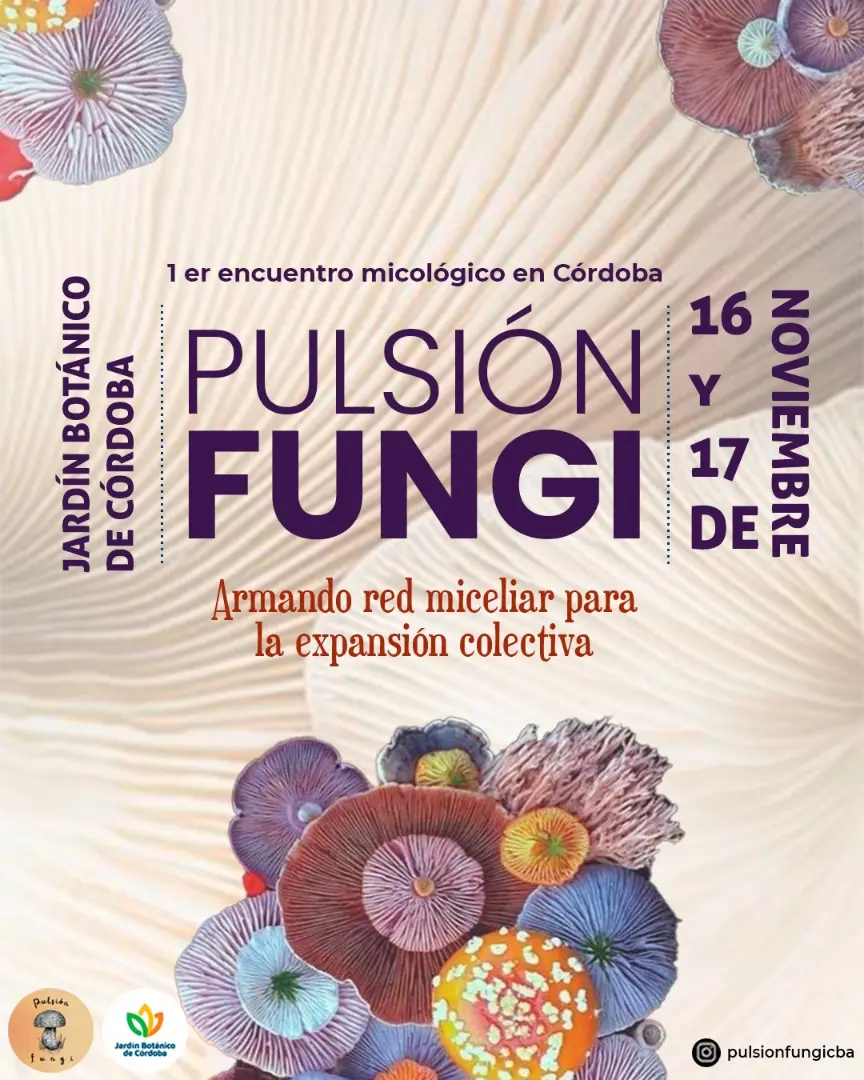 pulsion fungi