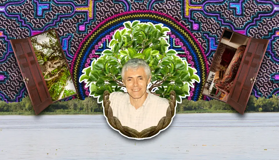 domingo nanni psicoterapia ayahuasca