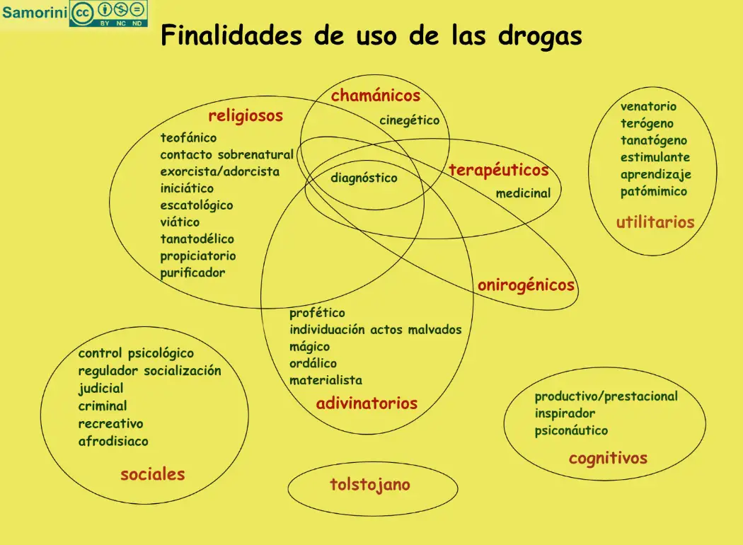 drogologia seminario fundacion lobeliana