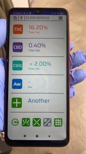 la potencia del cannabis aumenta pero la información no