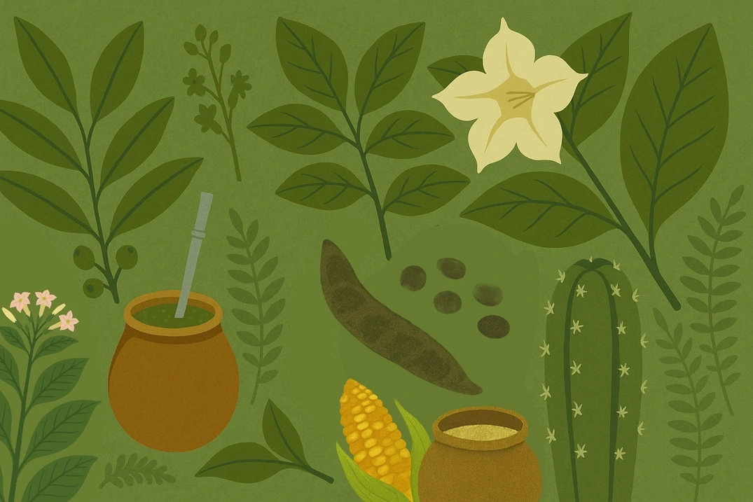 plantas psicoactivas y pueblos originarios