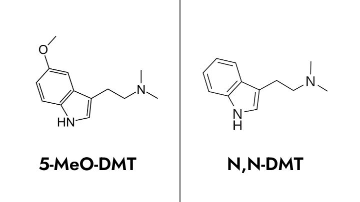 5-MeO-DMT ensayos clínicos en san juan bufo alvarius