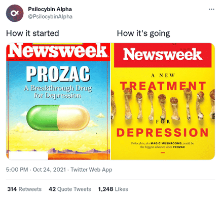 lapsyconf newsweek depression