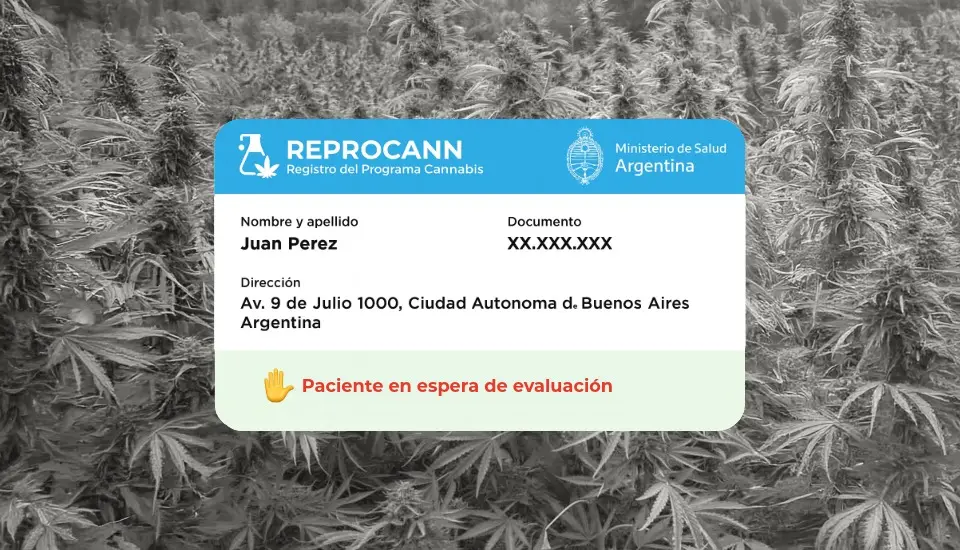 reprocann respuesta en trámite