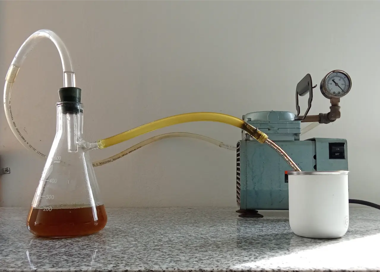 florencia echeverria investigadora yerba mate y parkinson el mate como nutracéutico