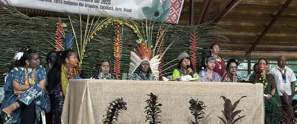 conferencia indigena dia de la tierra psicodelico