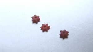 Comprrimidos "micropunto" con forma de estrella de 5 puntas. (Fuente: Infobae 2019)