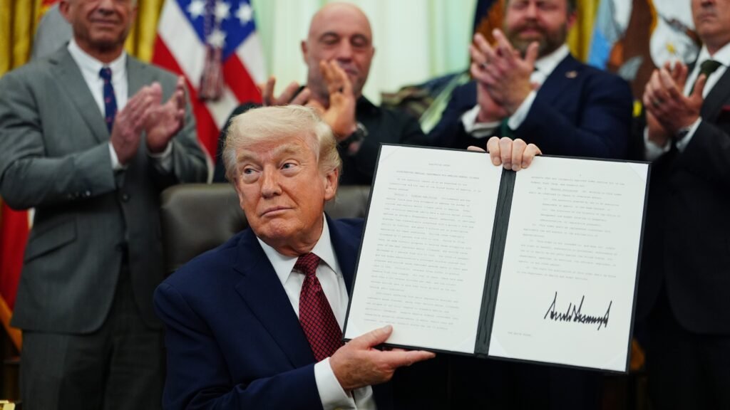 psicodélicos, big pharma, trump, acta ibogaina y farmacéutica